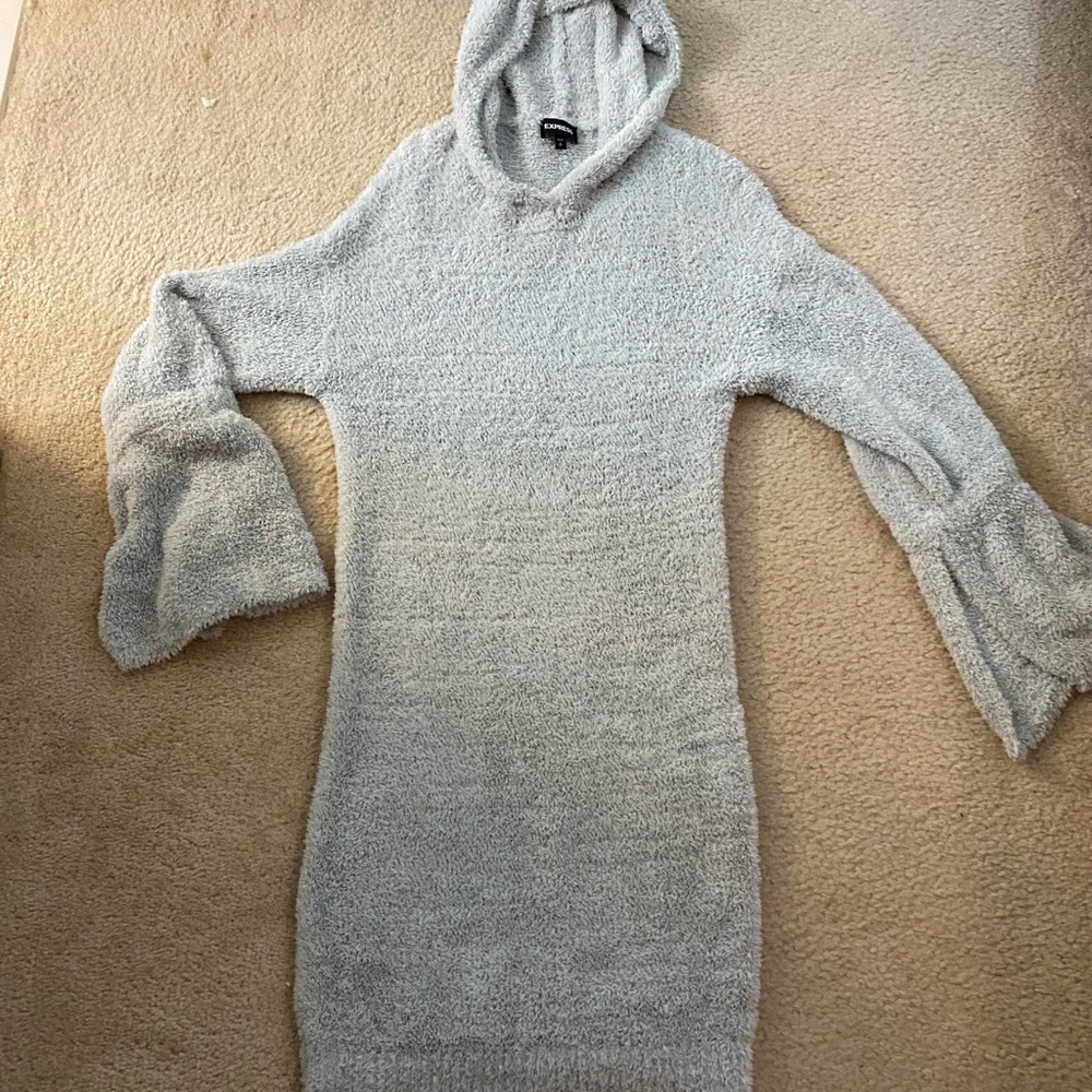 Express Sweater Dress